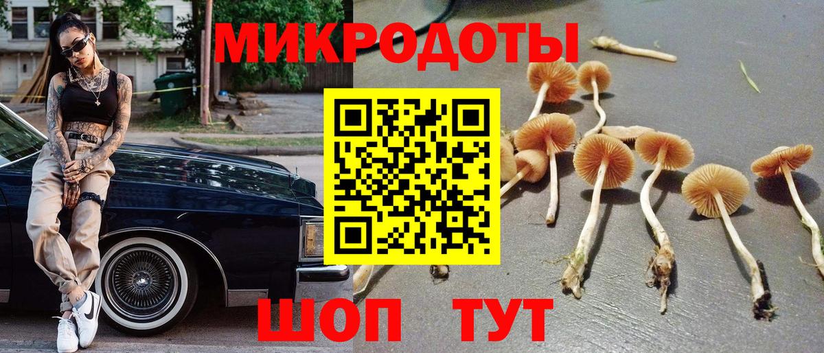 Галлюциногенные грибы мухоморы  Псилоцибиновые грибы MAGIC MUSHROOMS  Вход с VPN  Карасук 